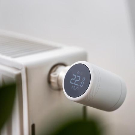 Edler Wohnraum Schwanenteich-Suite Mit Balkon, Kaffeevollautomat, Lift & Parkplatz Zwickau Eksteriør billede